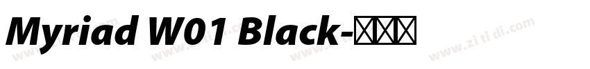 Myriad W01 Black字体转换